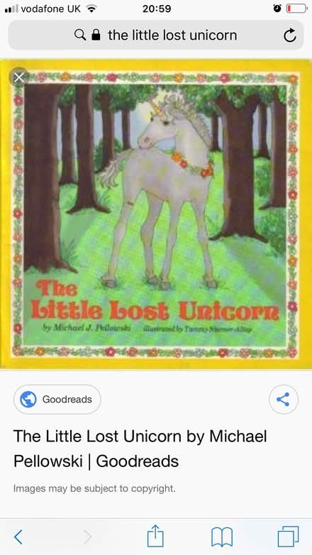 Photo of The little lost unicorn book (Fairfield Road TS19) #1