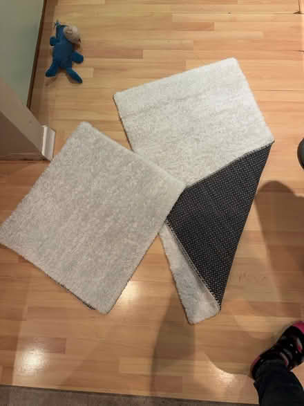 Photo of free Bed cover and side mats (EN2) #3