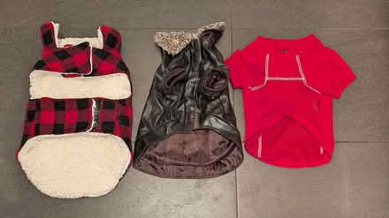 Photo of free Dog Jackets for small dog (near Christie and Dupont) #2