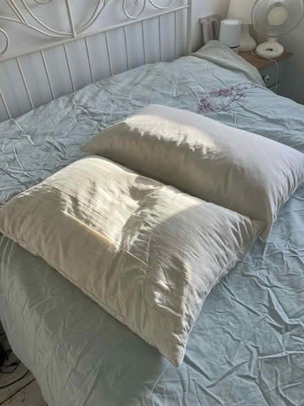 Photo of free 2 feather pillows (Bath, odd down) #1