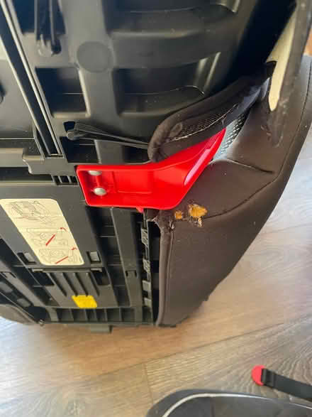 Photo of free Car seats (Lanarkshire) #3