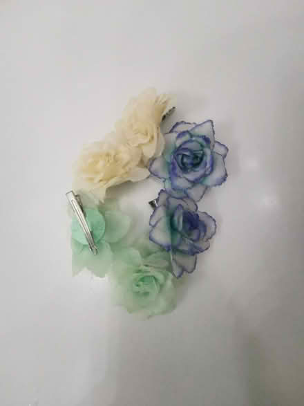 Photo of free Hair pins (EN1) #1