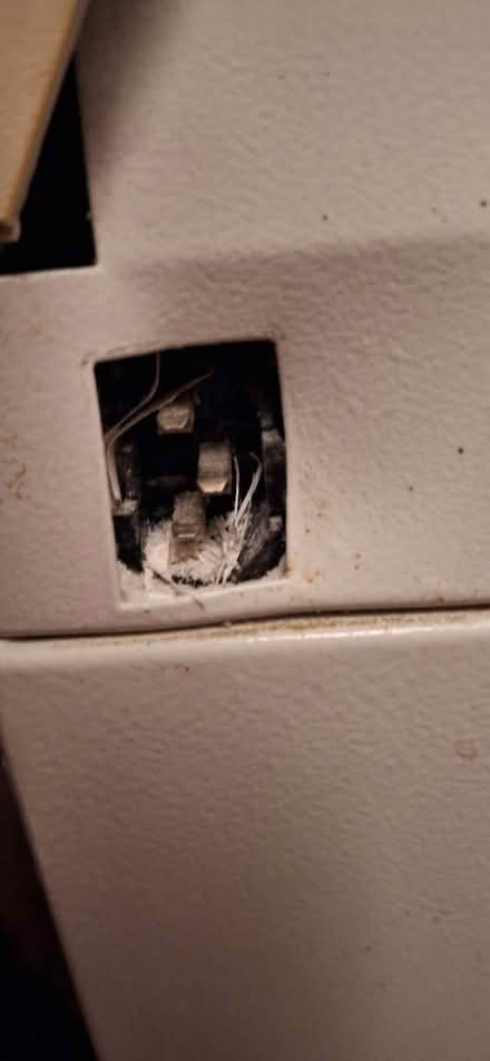 Photo of free shredder (Camberwell- SE5) #4
