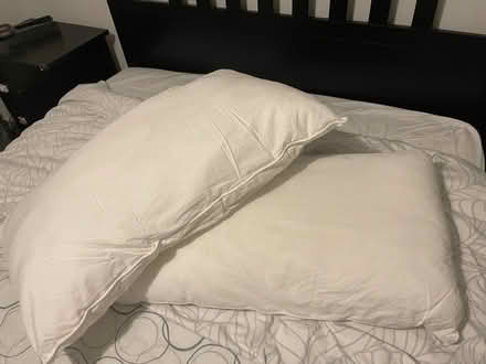 Photo of free Two Ikea pillows (en1) #2