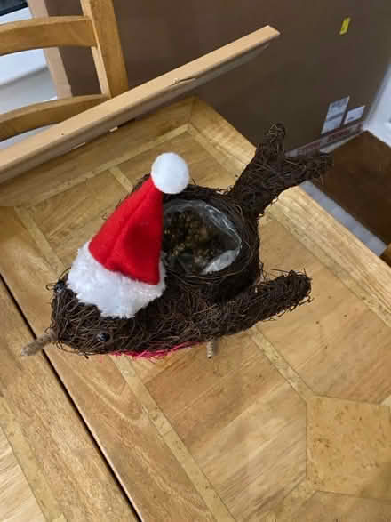 Photo of free Christmas robin (Crawley RH11) #3