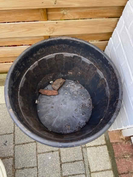 Photo of free 90 litre plant pot (Keston) #2
