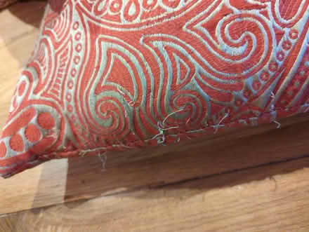 Photo of free Cushions (for pet?) (Old Town SG1) #3