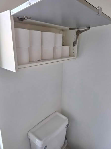 Photo of free Bathroom wall cabinet (BS16 4LZ) #2