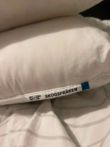 Photo of free Two Ikea pillows (en1) #1