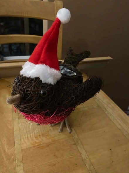 Photo of free Christmas robin (Crawley RH11) #1