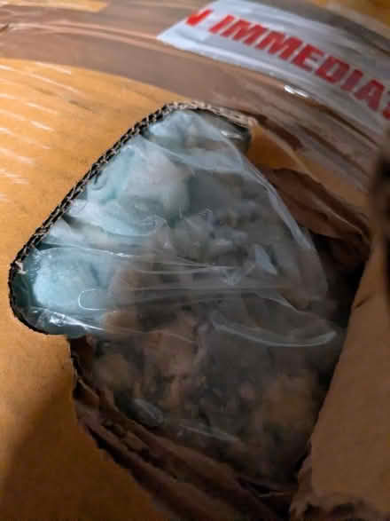 Photo of free Foam for stuffing HR2 (HR2 Clehonger) #2