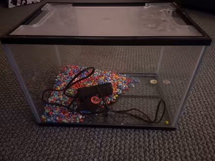 Photo of free Little fish tank (Winsford CW7) #1