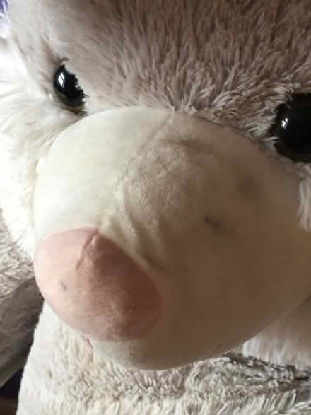 Photo of free A Very Large soft Toy Buggs, Bunny (Liverpool L6) #2