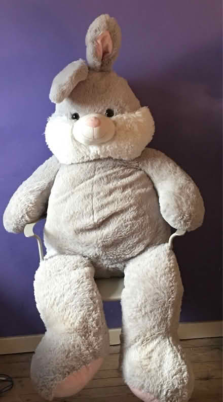 Photo of free A Very Large soft Toy Buggs, Bunny (Liverpool L6) #1