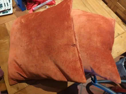 Photo of free Two cushions (for pets?) (Old Town SG1) #1