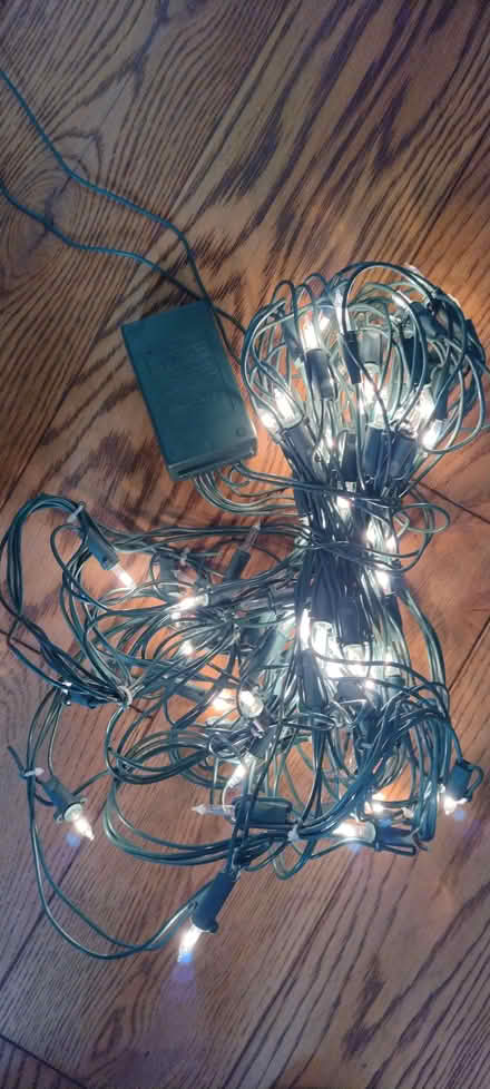 Photo of free Net Christmas lights (Little Eaton DE21) #2