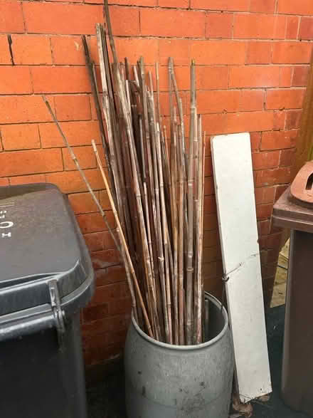 Photo of free Garden canes (Cropston LE7) #1
