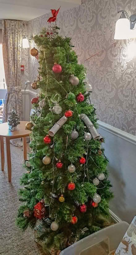 Photo of free Christmas tree plus decorations (Coleham SY3) #1
