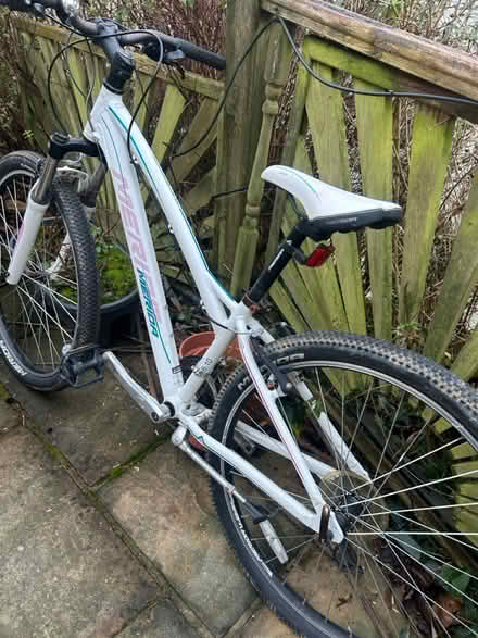 Photo of free Child/small ladies bike (Dorking) #2