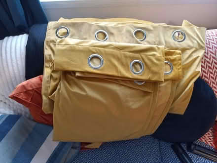 Photo of free Ochre velvet blackout curtains. (Foxwood YO24) #1