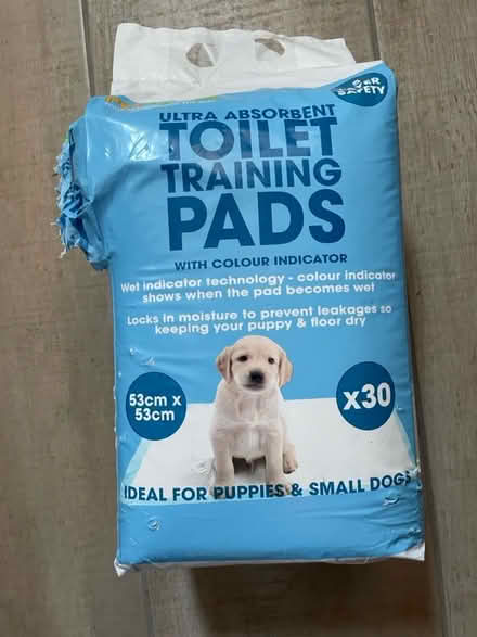 Photo of free Puppy toilet pads (North Norwich) #1
