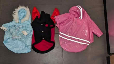 Photo of free Dog Jackets for small dog (near Christie and Dupont) #1