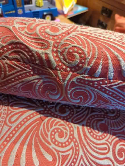 Photo of free Cushions (for pet?) (Old Town SG1) #2