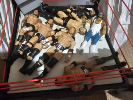 Photo of free Wrestling figures (Burgess hill) #1