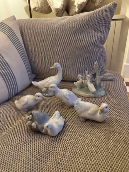 Photo of free Collection of ceramic ducks (Ham, Richmond, TW10) #1