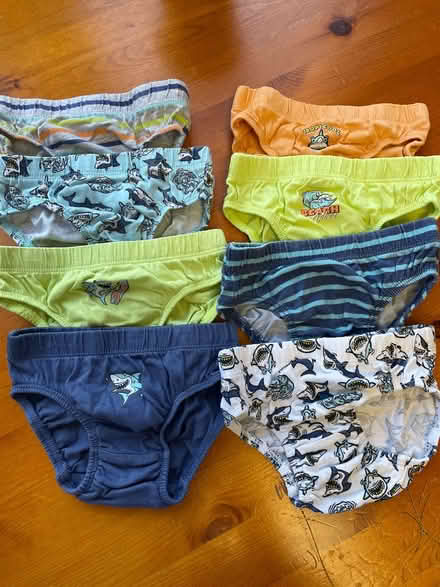 Photo of free 3-4y briefs (CR2) #1