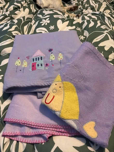 Photo of free Two lavender throw and a bag (Broadwater SG2) #1