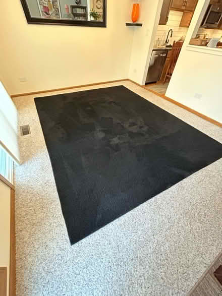 Photo of free 8 by 10 black rug (Lake Arlington) #1