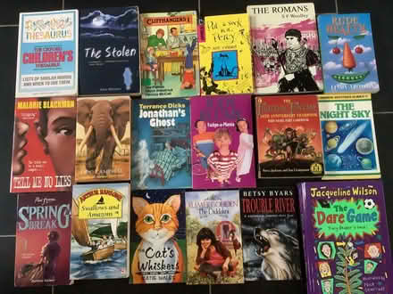 Photo of free Books for children (Fernhill GU17) #1