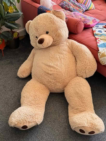 Photo of free Giant teddy (Edgware Road, W2 1NF) #3