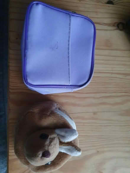 Photo of free Small purses (Manor Road N17) #1