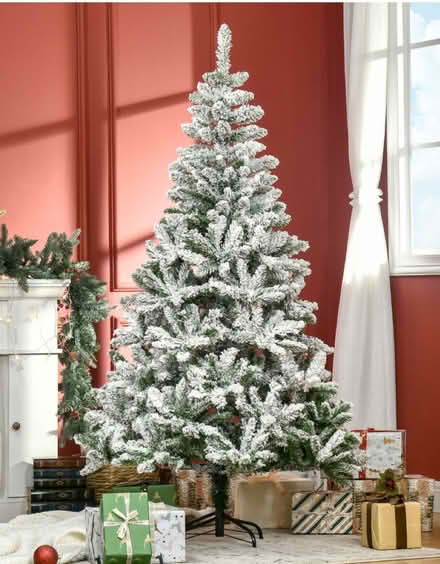 Photo of free Tall Christmas tree from The Range (Harrow) #2