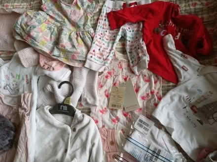 Photo of free Baby girl clothes 0-3 months [4] (Allerton L18) #4
