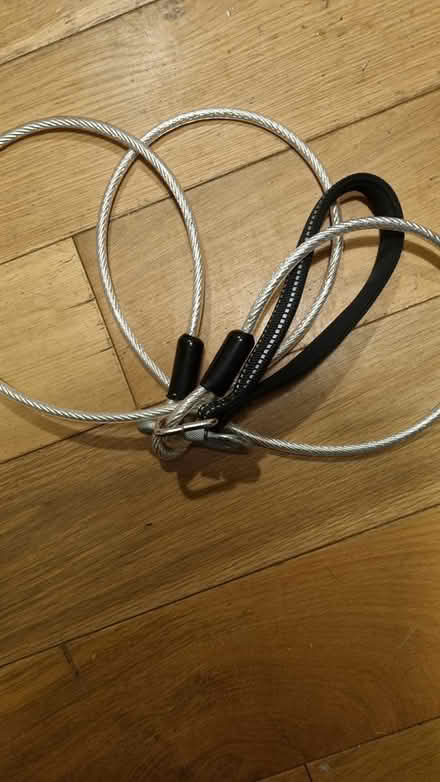 Photo of free Steel wire dog lead (PH10 Rattray) #1