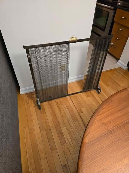 Photo of free Fireplace screen (Overbrook) #1