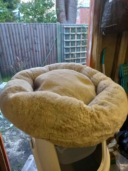 Photo of free Cat tower/litter tray/bed (SK3) #3