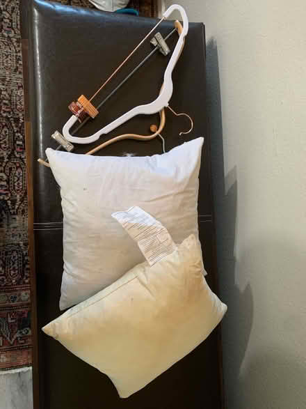 Photo of free 2hangers 2 pillows (High st and brookdale ave.) #1