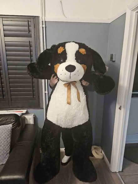 Photo of free Dog cuddly toy (Northfleet da11) #3