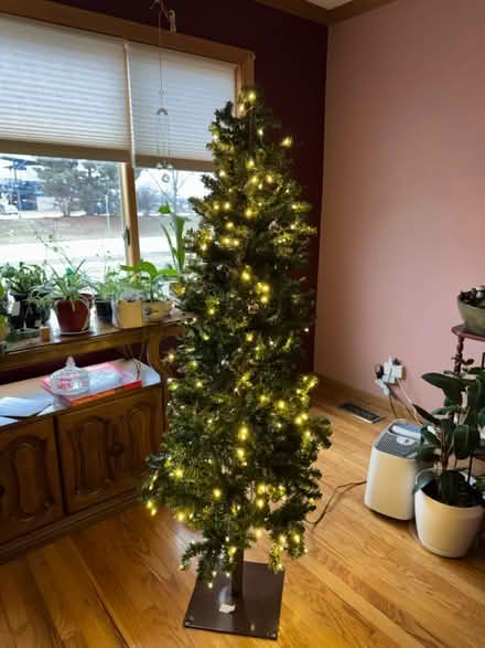 Photo of free led small narrowchrustmas tree (Bensenville) #1