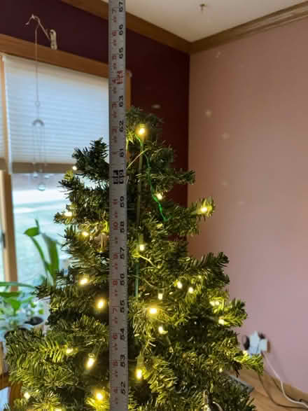 Photo of free led small narrowchrustmas tree (Bensenville) #2