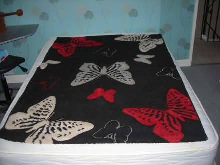 Photo of free Large heavy Esprit rug. (Whoberley CV4) #1