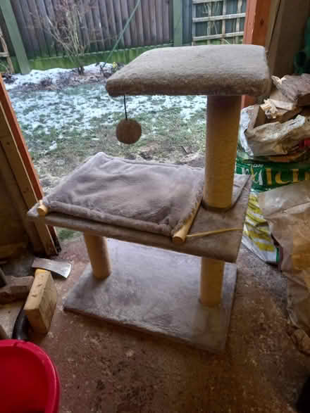 Photo of free Cat tower/litter tray/bed (SK3) #1