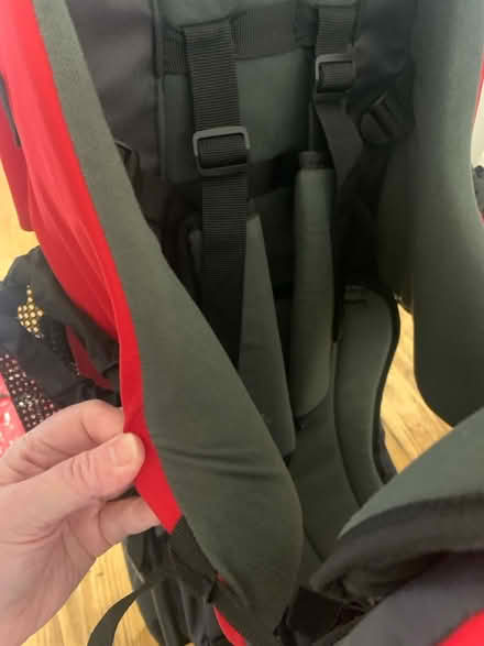 Photo of free Back pack style baby carrier (Golberdon PL17) #4