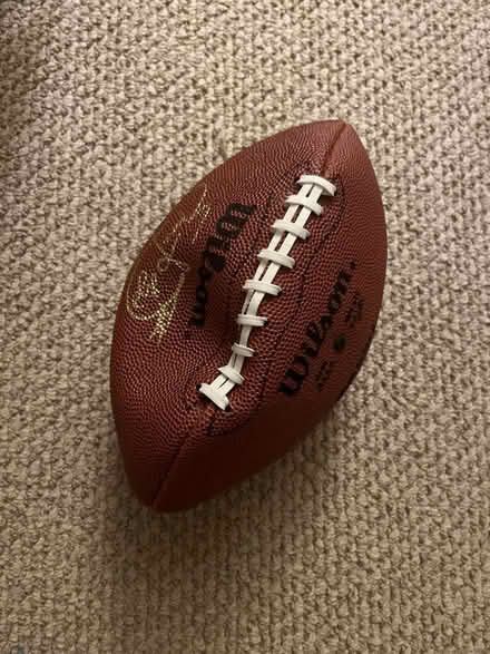 Photo of free Wilson Football with hole (McLean Gardens) #1