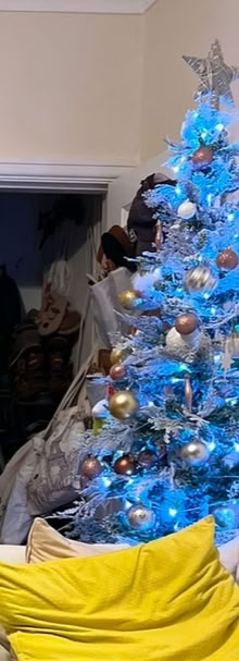 Photo of free Tall Christmas tree from The Range (Harrow) #1
