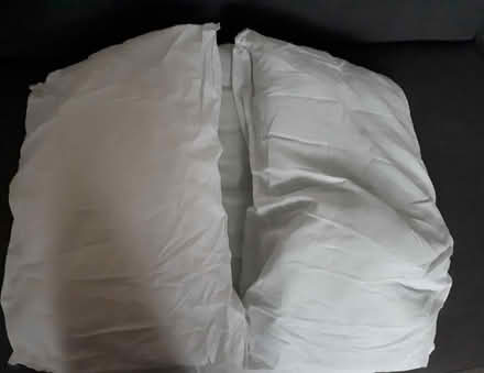 Photo of free 3 Pillows (Eastbourne) #1